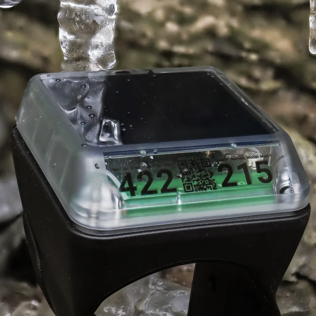 new_collar_drip.webp
