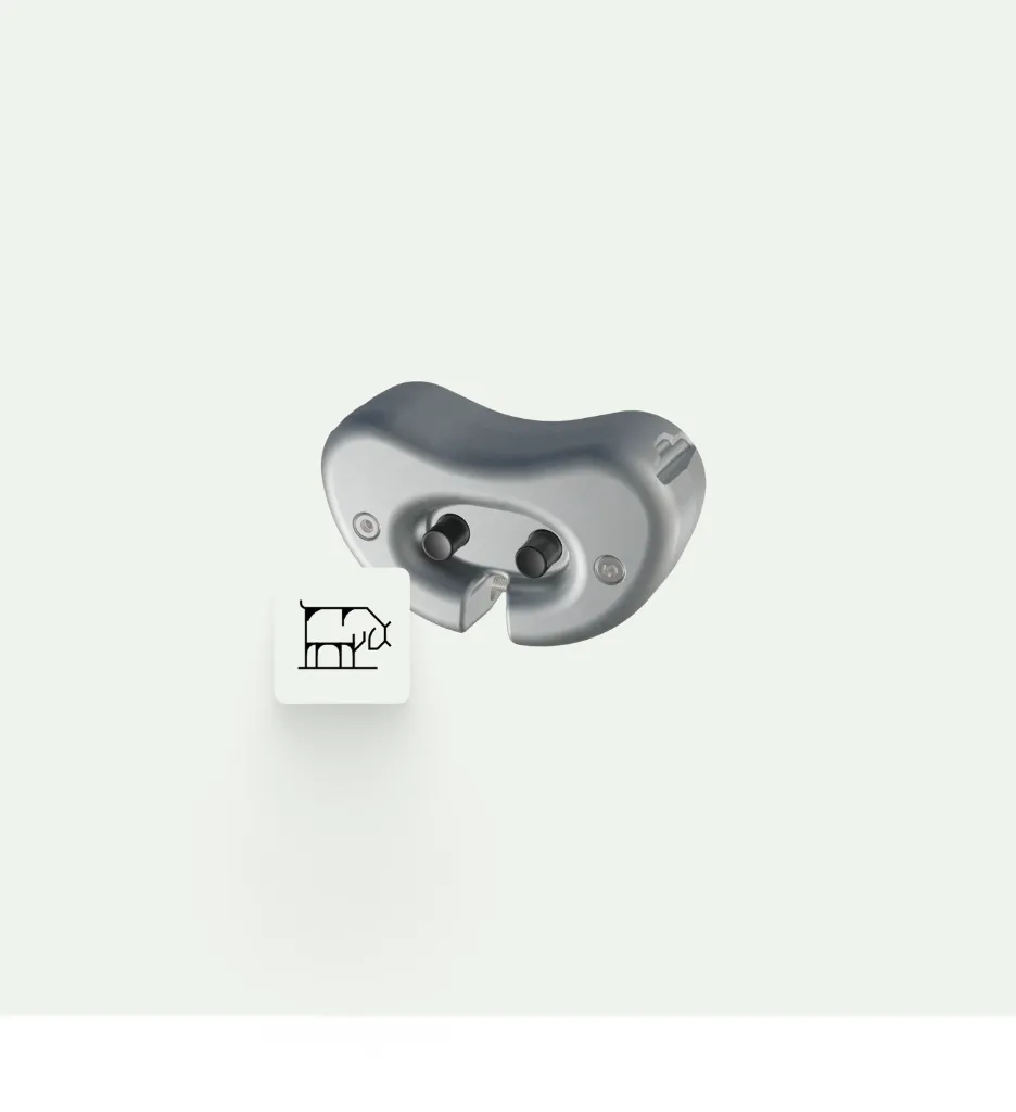[9602] Lock for cattle collar